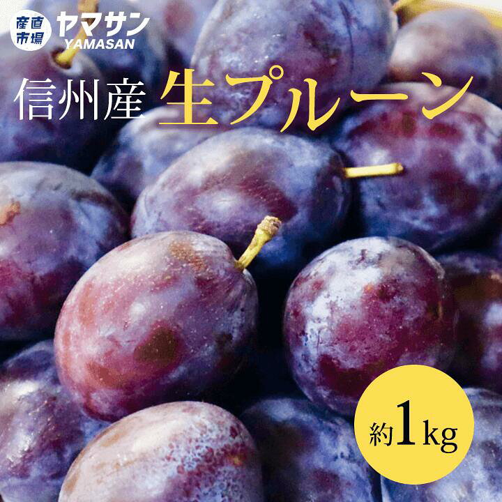 楽天市場】生産量1位 長野県産生プルーン【送料無料】プルーン 生 