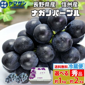 Y iKmp[v 1kgi2`3[j ܂ 2kgi3`6[j ① yz Gi 1L 2L Mtg 蕨 쌧Y p[v Ԃǂ 炲Ƃ̂܂ܐHׂ 햳uhE 