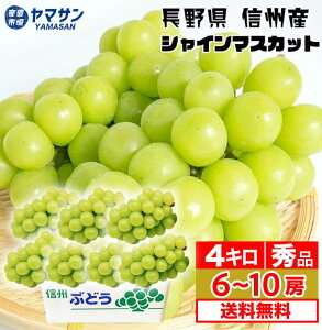 Y VC}XJbg 1kg ȏ (2[)  2kg(3`4[)  4kg(7`10[) Gi Yn Mtg 쌧Y  x p Mtg 蕨 v[g ^lȂ Ȃ 炲 Ԃǂ uh