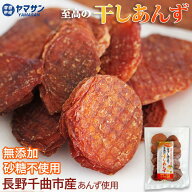 ドライあんず 砂糖不使用 長野県産 あんずドライフルーツ 深干し仕立て 至高の干しあんず 100g 無添加 ド…