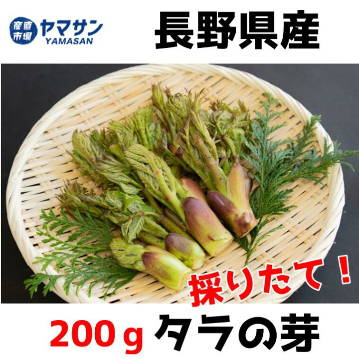 楽天市場】タラの芽 2024年出荷中【送料無料】長野県産 天然 たらの芽 