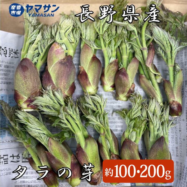楽天市場】2025発送中 タラの芽【送料無料】長野県産 天然 たらの芽 