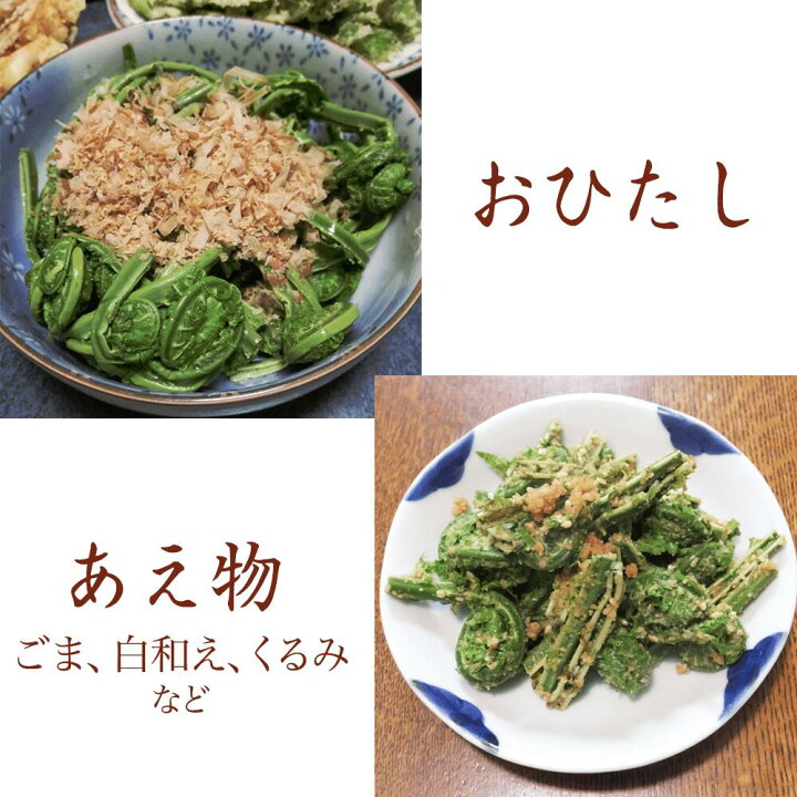 楽天市場】こごみ コゴミ 長野県産 約300g 【送料無料】 山菜 長野の  