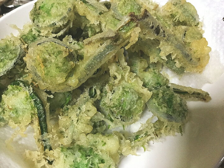 楽天市場】こごみ コゴミ 長野県産 約300g 【送料無料】 山菜 長野の 