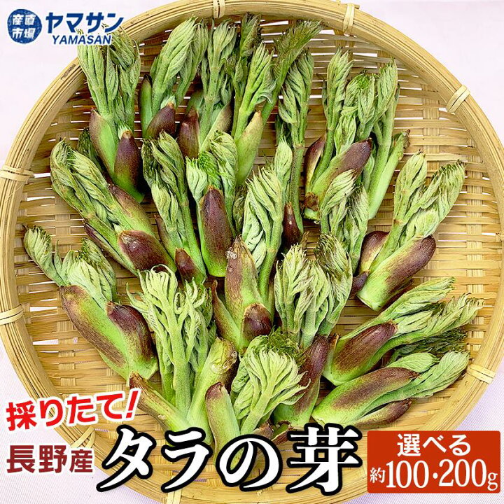 楽天市場】2025発送中 タラの芽【送料無料】長野県産 天然 たらの芽 
