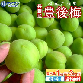 2026発送中 長野県産 豊後梅 1kg または 3kg 6月中旬〜発送 【送料無料】 クール便 冷蔵配送 豊後 ぶんご 青梅 梅酒 梅漬け 梅干し 約 1キロ 約 3キロ 大粒で肉厚な品種 大梅 梅干し 梅漬け 梅酒 梅シロップ 梅ジャム 加工用 手作り 長野 信州 お取り寄せ 産直市場ヤマサン