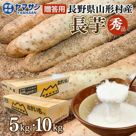 長野県 山形村 産 長芋 秋掘り 【秀品】 10kg（7〜10本） 5kg（3〜5本）10キロ 5キロ 11月中旬から発送中 贈答用 長いも 長イモ ながいも 長薯 とろろ 冬野菜 野菜 ギフト グルメ 送料無料 お取り寄せ 産直市場ヤマサン