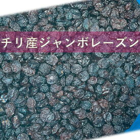 【送料無料】チリ産 フレーム ジャンボレーズン オイルコート 干しぶどう 10kg 業務用 大容量 箱売り レーズン 製菓 製パン