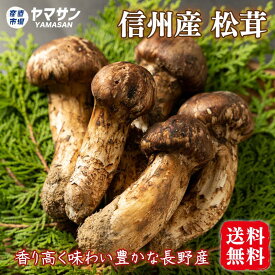 予約 長野県産 松茸 200g 国産 長野 香り高い信州産 天然 マツタケ まつたけ 信州産【送料無料】クール便【サイズ指定不可】