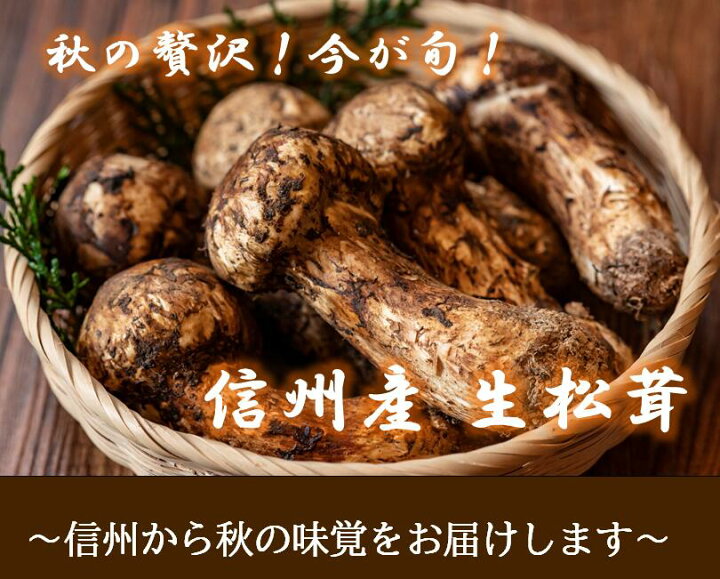 楽天市場】期間限定豊作セール中☆長野県産 松茸 200g 国産 長野 香り 