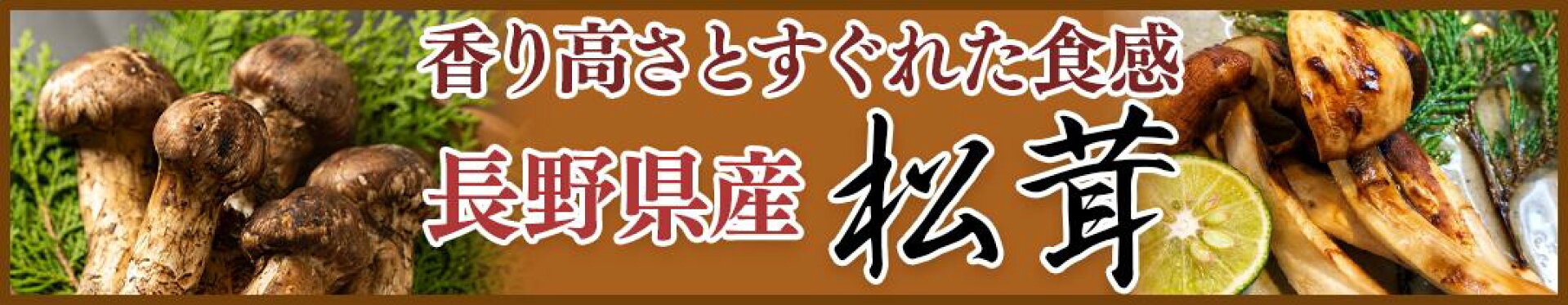信州産松茸