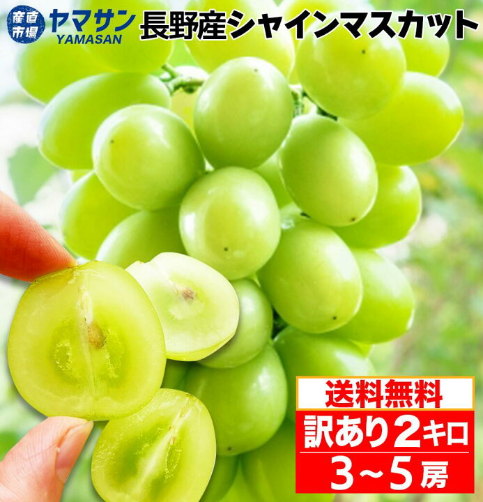 楽天市場】☆訳あり特価☆長野産 シャインマスカット 訳あり 2kg (3~5 