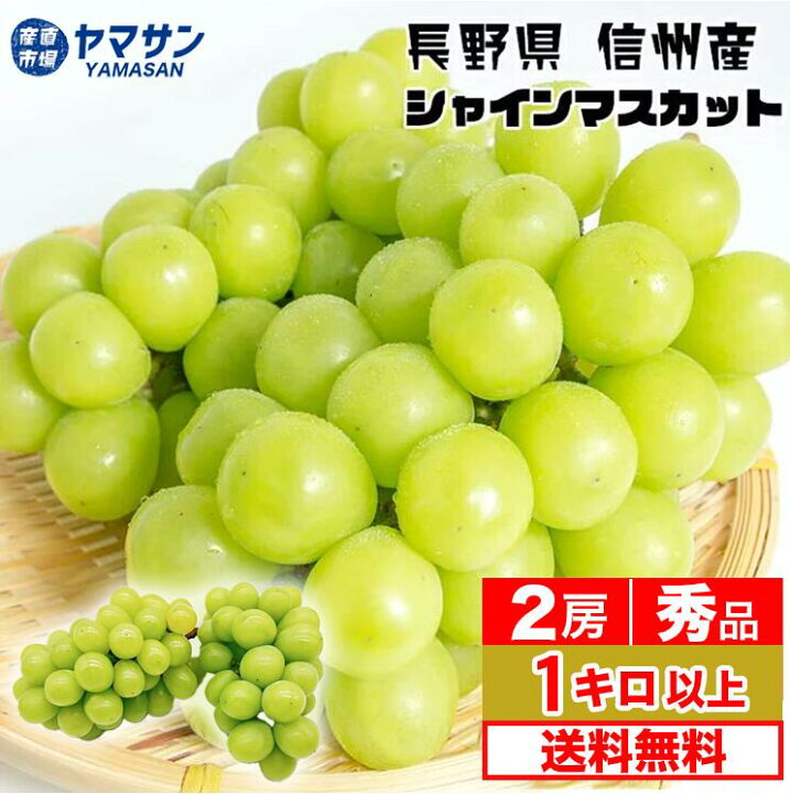 楽天市場】長野産 シャインマスカット 1kg 以上 (2房) 秀品 産地直送  