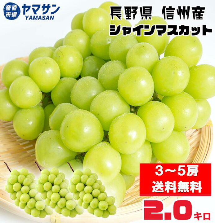 楽天市場】予約 長野産 シャインマスカット 2kg (3〜5房) 秀品 産地 