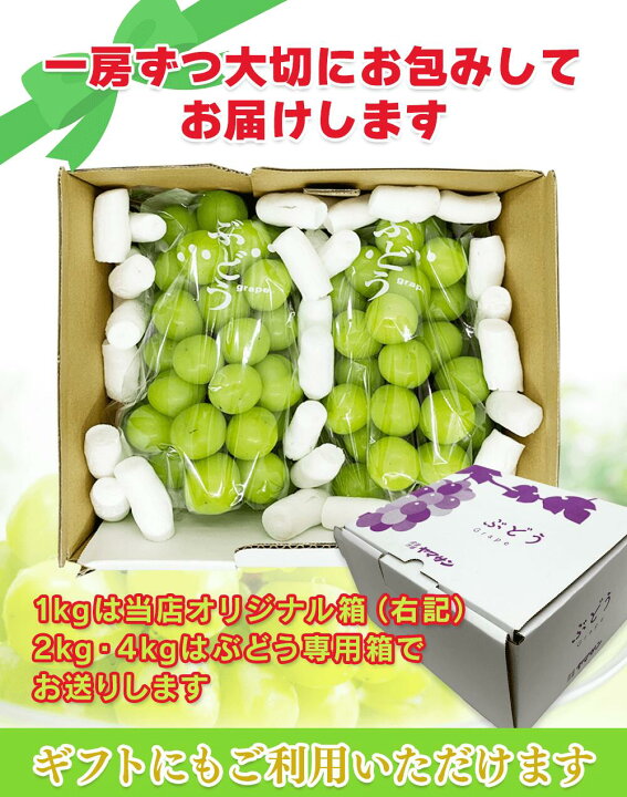 楽天市場】15%OFFクーポン配布中 長野産 シャインマスカット 4kg (6 