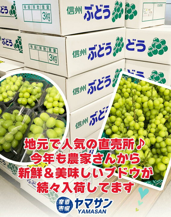 楽天市場】長野産 シャインマスカット 1kg 以上 (2房) 秀品 産地直送  