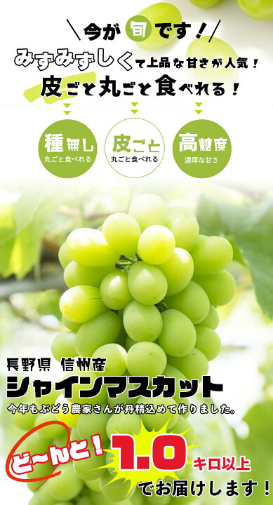 楽天市場】長野産 シャインマスカット 1kg 以上 (2房) 秀品 産地直送  