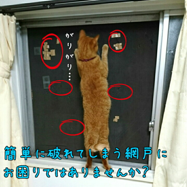 楽天市場】[猫脱走防止ステンレス網戸]猫マール32 100cm幅 1m単位切売 