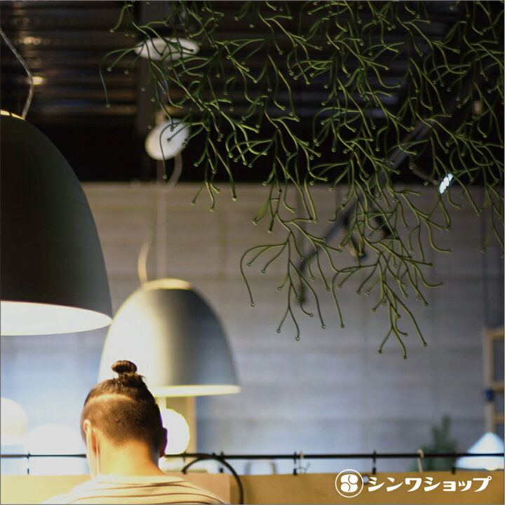 楽天市場】vitra Algue アルギュ Ronan & Erwan Bouroullec ロナン 