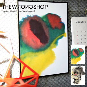 yvGgS|CgbackI!zWRONGSHOP OVbv vEt@E~G FROG tbO SNOW LEOPARD Xm[p[h|X^[ Pi Rop van Mierlo