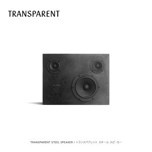 TRANSPARENT STEEL SPEAKER gXyAg X`[ Xs[J[