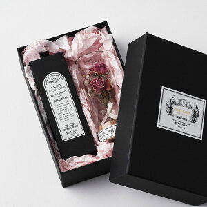 Ballon o nhPA MtgZbg ̓ ߃Mtg 2024 nhN[ et AWg u[P hCt[