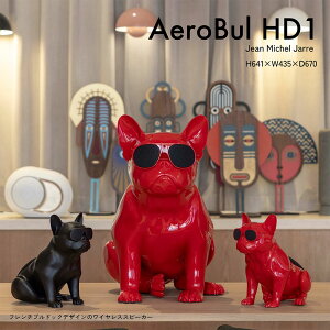 AeroBull HD1 GAu CXXs[J[ uhbO Bluetooth I[fBI Xs[J[