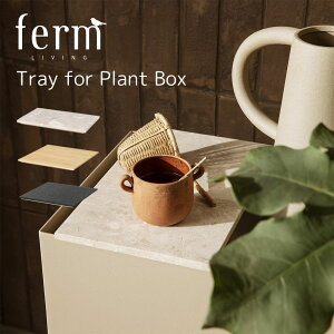 yvGgS|CgbackI!zferm LIVING t@[rO Tray for Plant Box vg{bNX pgC g[ I[N 嗝 k