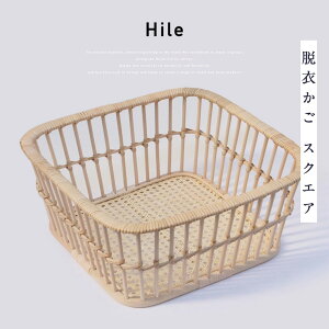 cX Hile nC E߂ XNGA   JS CeA