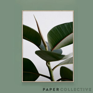 yX܃N[|szPAPER COLLECTIVE GREEN HOME 02 08108O[z[02 50x70cmy[p[RNeBu Riikka Kantinkoski t ϗtA |X^[ k CeA