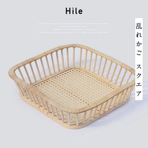 cX Hile nC ꂩ XNGA   JS CeA