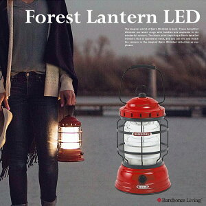 yX܃N[|szBarebones Living xA{[YrO tHXg^ LED2.0Ɩ Lv AEghA ^