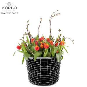 yX܃N[|szKORBO R{ PLANT BAG16 vgobO16XEF[f k K[fjO{K㗝Xi