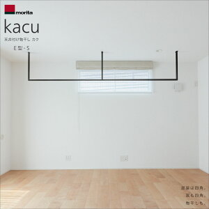 morita Laundry pole kacu Type-E-S �����^�A���~ �����h���[�|�[�� �J�N E�^-S �V��t�� ������ ��݌^ KAC286E �X�c�A���~�H�Ɗ������