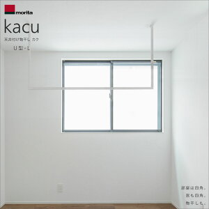 morita Laundry pole kacu Type-U-L �����^�A���~ �����h���[�|�[�� �J�N U�^-L �V��t�� ������ ��݌^ KAC149U �X�c�A���~�H�Ɗ������