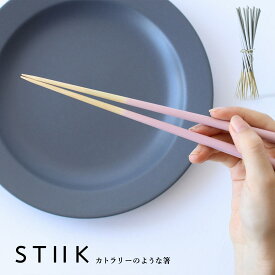 STIIK スティック カトラリーのようなお箸 26cm 2膳1セット天然竹 孟宗竹 おはし 和食 日本製