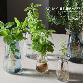 【要エントリ全ポイントback抽選!】KINTO キント AQUA CULTURE VASE Lサイズ アクアカルチャーベースフラワーべース 花瓶 鉢植え インテリア 植物 花器 多肉植物 球根 栽培 水耕栽培 インテリア ギフト