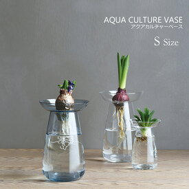 KINTO キント AQUA CULTURE VASE Sサイズ アクアカルチャーベースフラワーべース 花瓶 鉢植え インテリア 植物 花器 多肉植物 球根 栽培 水耕栽培 インテリア ギフト