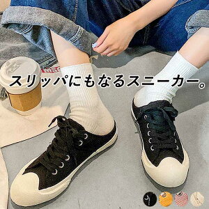 y70OFF897~IΏ4_ŁI1_60OFFIN[|ŁIz Xj[J[ fB[X LoXXj[J[ RC Xj[J[ tbgV[Y ؂ V[Y ()^bo-763^