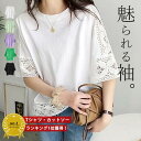 【26H限定！3点60％OFF！2点半額！】 【2690円！クーポンで！】 カットソー トップス レディース レース 5分袖 半袖 夏 白 黒 ゆったり ビックシルエット (送料無料)[郵2]^t940^