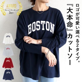 【半額！1245円！クーポンで！】 Tシャツ レディース 春 長袖 ロゴ ゆったり ロンT ロゴT 英字ロゴ カットソー トップス 韓国 春(送料無料)[郵1.5]^t1041^