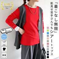 【バグ価格！790円！2点買いクーポン利用で！】 シアートップス シアー カットソー レディース 速乾 シア…