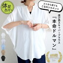 【24H限定！5点60％OFF！2点半額！】 【2990円！クーポンで！】 ブラウス スキッパー カットソー シアー 透け感 レディーストップス 涼しい 速乾 夏 黒 白 おしゃれ 大きいサイズ 無地 5分袖 ハーフ袖 肘隠れる 丈長め シンプル トップス [郵1.5]^t1097^