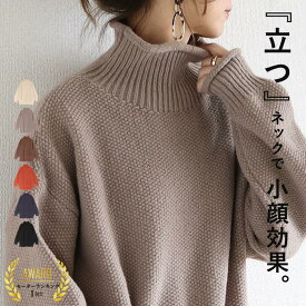 【70％OFF→1995円！対象3点で！1点60％OFF！クーポンで！】 ニット レディース タートルネック セーター ざっくり ハイネック ハイゲージ 鹿のこ ゆったり 厚手 体型カバー トップス 秋 冬(送料無料)^t1066+t630^