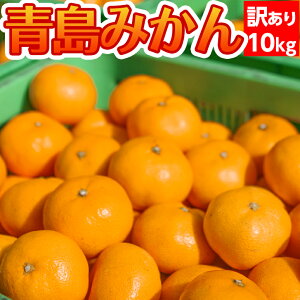 y\񔭑12{`z݂ 󂠂(s) 10kgy(kC 770~Es)z ݂_ƒy󂠂݂zÉuh݂ Y݂ y󂠂~J 킯