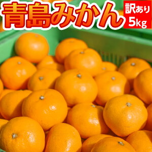 【予約発送12月中旬〜】青島みかん 訳ありぽん 5kg【送料無料(北海道770円・沖縄不可)】 みかん専門農家直売【訳ありみかん】静岡ブランドみかん 西浦みかん 高級【訳ありミカン わけありみ