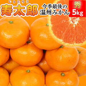 【予約発送1月下旬〜】寿太郎★秀5kg【送料無料(北海道770円・沖縄不可)】寿太郎みかん【甘くなるまでじっくり熟成★】免疫力アップ ビタミンC果物 静岡ブランドみかん 西浦みかん 甘いみ