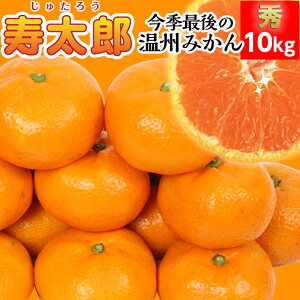 【予約発送1月下旬〜】寿太郎★秀 10kg 【送料無料(北海道770円・沖縄不可)】寿太郎みかん 【甘くなるまでじっくり熟成★】免疫力アップ ビタミンC果物 静岡ブランドみかん 西浦みかん 甘い