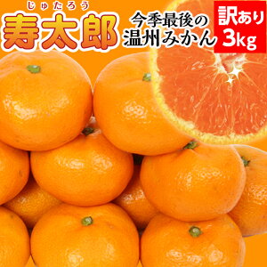 【予約発送1月下旬〜】寿太郎★ 訳あり 3kg 【送料無料(北海道770円・沖縄不可)】寿太郎みかん 【訳ありみかん】備蓄食料・免疫力アップ ビタミンC果物 静岡ブランドみかん【訳ありミカン