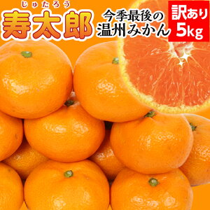【予約発送1月下旬〜】寿太郎★ 訳あり 5kg 【送料無料(北海道770円・沖縄不可)】寿太郎みかん【訳ありみかん】備蓄食料・免疫力アップ ビタミンC果物 静岡ブランドみかん 訳ありみかん 訳